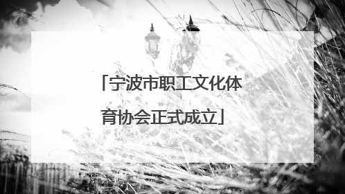 宁波市职工文化体育协会正式成立